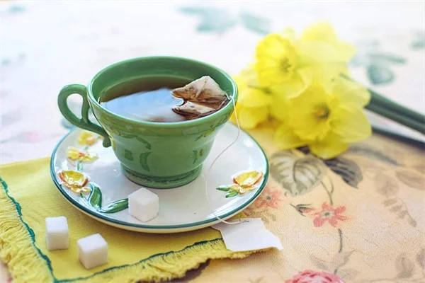 Zone 8の月別栽培カレンダー：8ヶ月楽しめる長期ガーデニング術