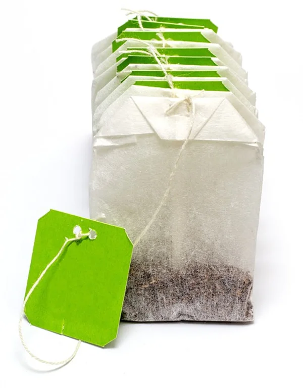 ペペロミアの病害虫対策、7つの症状と対処法を解説