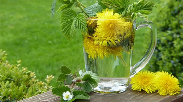 石竹の花がら摘みって必要？プロが教える効果的な方法とコツ