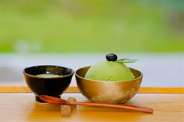 植物用光量計の正しい使い方と選び方【初心者向け完全ガイド】